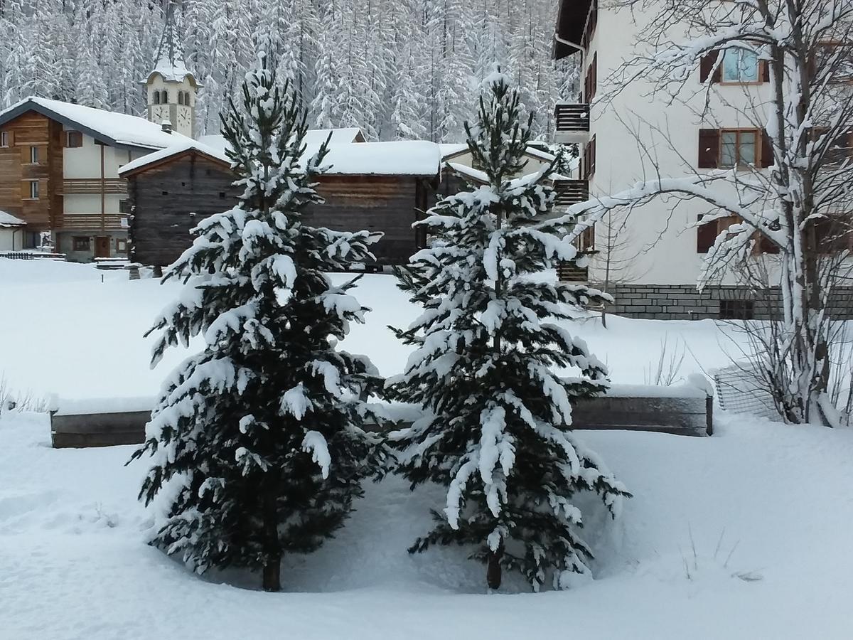 Apartmán Anis Saas-Almagell Exteriér fotografie