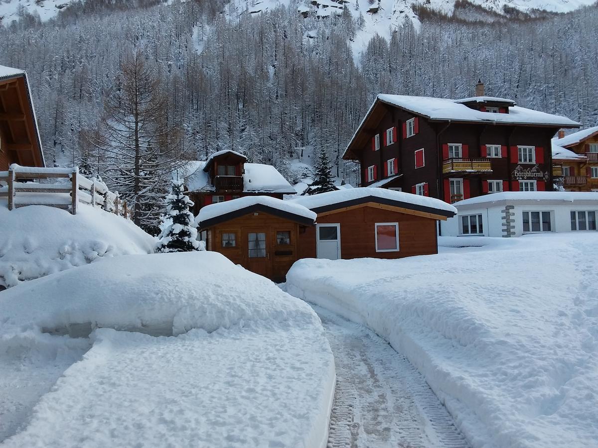 Apartmán Anis Saas-Almagell Exteriér fotografie